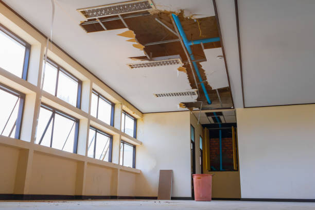 Best Fire Damage Restoration  in Alexandria, LA