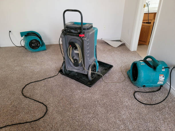 Best Commercial water damage restoration  in Alexandria, LA