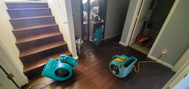 Best Water damage restoration near me  in Alexandria, LA