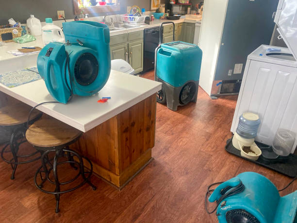 Best Residential water damage restoration  in Alexandria, LA