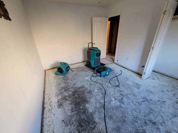 Best Water damage restoration near me  in Alexandria, LA