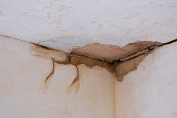Best Water damage cleanup near me  in Alexandria, LA