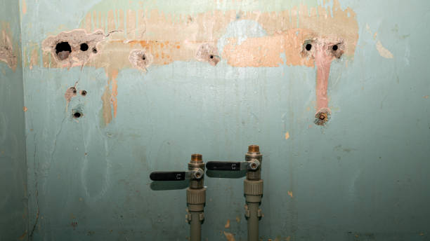 Best Professional water damage repair  in Alexandria, LA