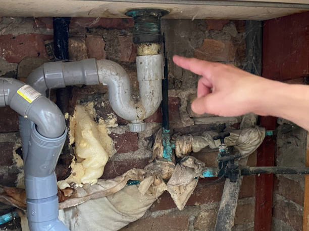 Water damage restoration experts in Alexandria, LA