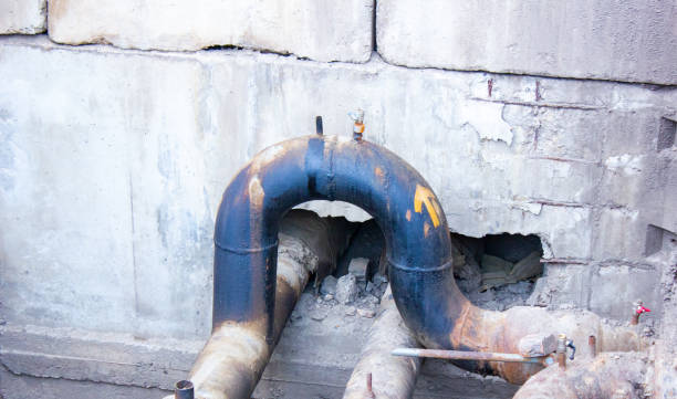 Best Water damage contractors near me  in Alexandria, LA