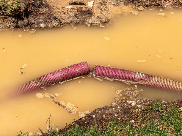 Alexandria, LA Water damage restoration Company